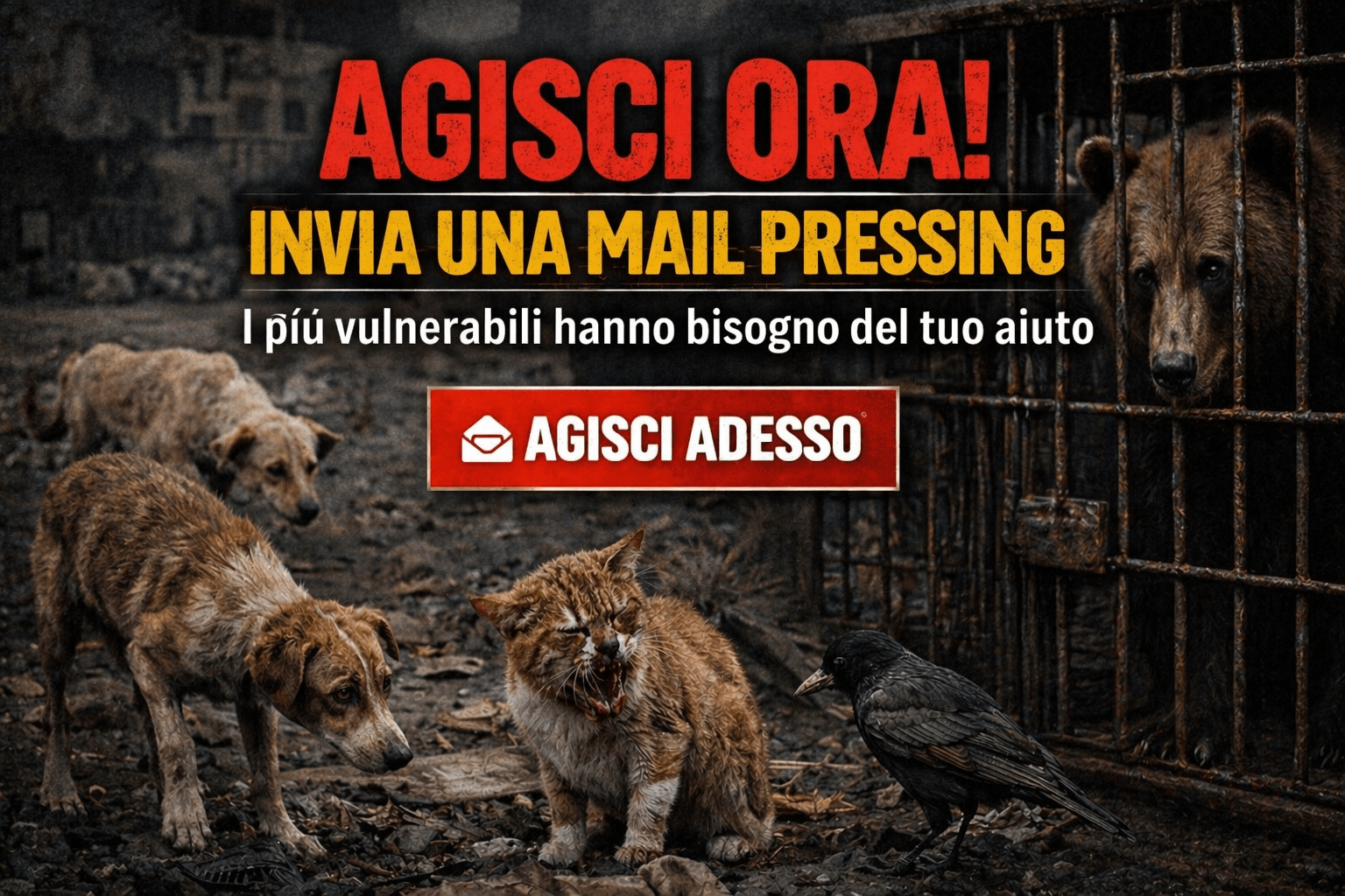 Agisci ora